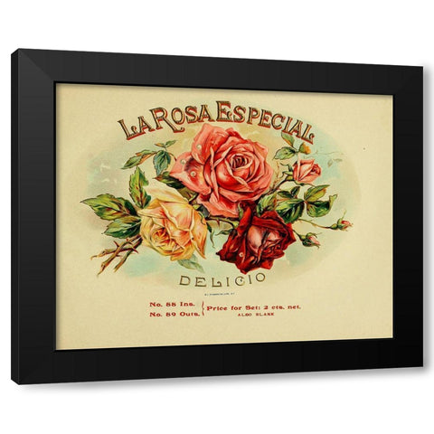 La Rosa Black Modern Wood Framed Art Print with Double Matting by Vintage Apple Collection