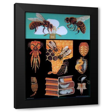 Bee Black Modern Wood Framed Art Print by Vintage Apple Collection