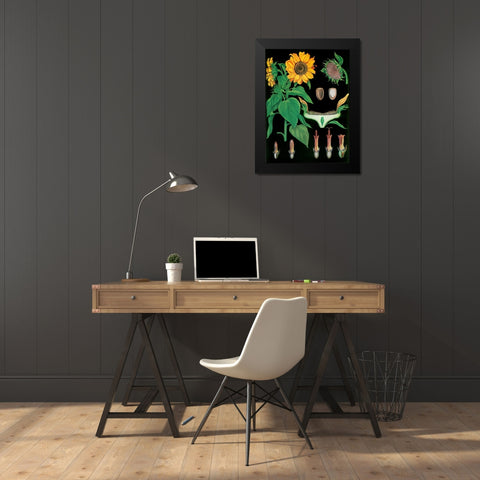 Sunflower Black Modern Wood Framed Art Print by Vintage Apple Collection