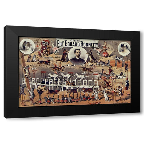 French Cats Black Modern Wood Framed Art Print with Double Matting by Vintage Apple Collection