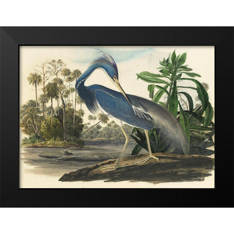 Blue Heron Black Modern Wood Framed Art Print by Vintage Apple Collection