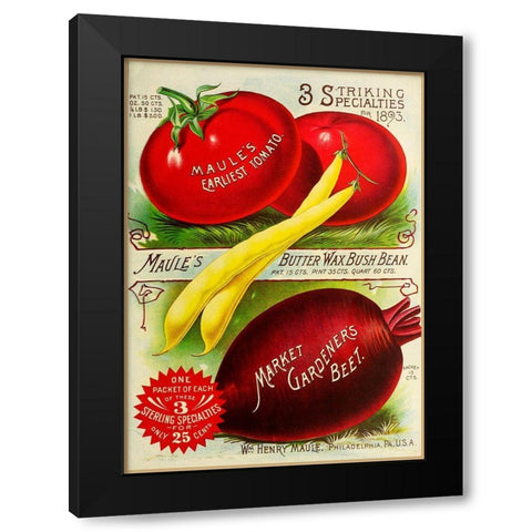 1893 Maule Tomatoes Black Modern Wood Framed Art Print by Vintage Apple Collection