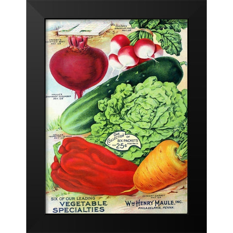 1915 Maule Seed Veggies Black Modern Wood Framed Art Print by Vintage Apple Collection