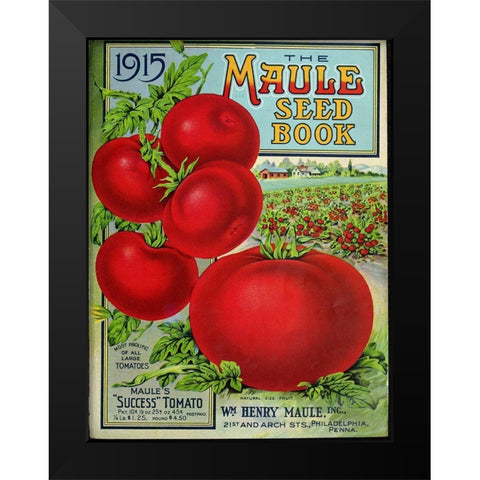 1915 Maule Tomato Black Modern Wood Framed Art Print by Vintage Apple Collection