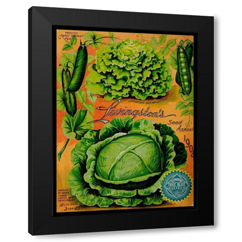 Annual Of True Blue Lettuce Black Modern Wood Framed Art Print by Vintage Apple Collection