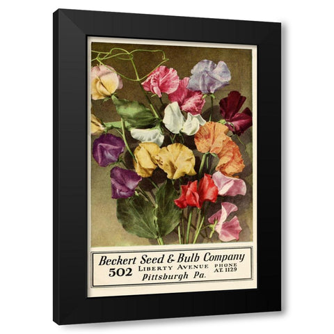 Becket Seed Black Modern Wood Framed Art Print by Vintage Apple Collection