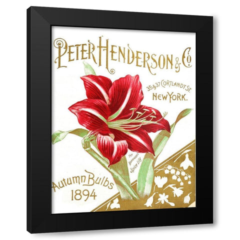 Henderson Amaryllis Black Modern Wood Framed Art Print by Vintage Apple Collection