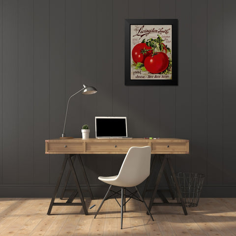 Livingston Tomato Black Modern Wood Framed Art Print by Vintage Apple Collection