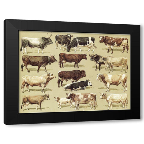 Dairy Farm Black Modern Wood Framed Art Print with Double Matting by Vintage Apple Collection