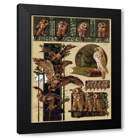 Owls Black Modern Wood Framed Art Print with Double Matting by Vintage Apple Collection