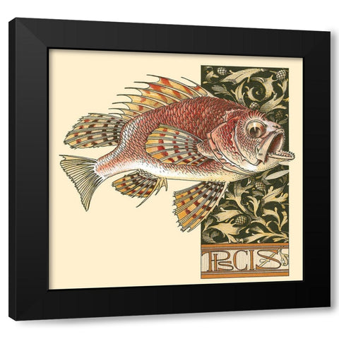 Seder Fish Black Modern Wood Framed Art Print with Double Matting by Vintage Apple Collection