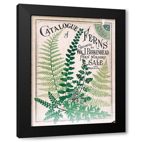 Ferns 2 Black Modern Wood Framed Art Print with Double Matting by Vintage Apple Collection