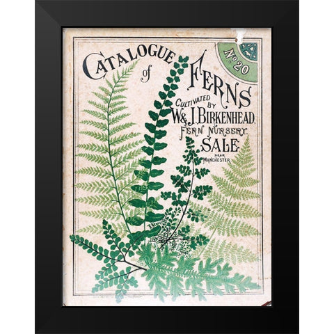 Ferns 2 Black Modern Wood Framed Art Print by Vintage Apple Collection