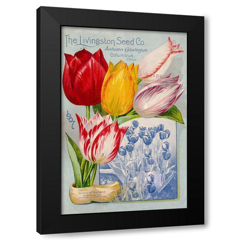 autumncatalogue-tulipes Black Modern Wood Framed Art Print by Vintage Apple Collection