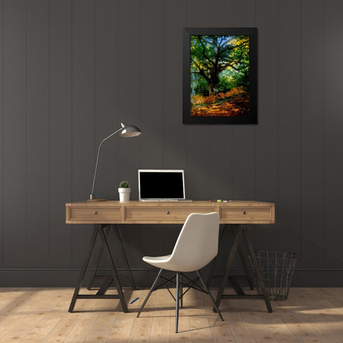 bodmer oak fountainbleau forest Black Modern Wood Framed Art Print by Vintage Apple Collection