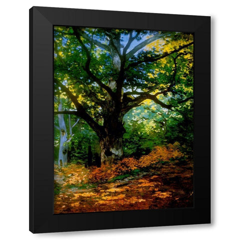 bodmer oak fountainbleau forest Black Modern Wood Framed Art Print by Vintage Apple Collection