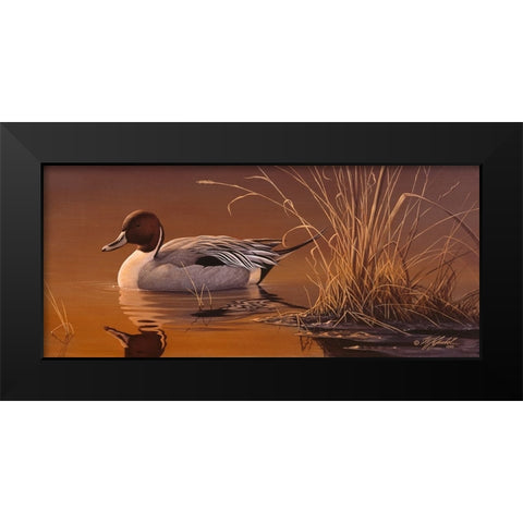 Amber Light - Pintail Black Modern Wood Framed Art Print by Goebel, Wilhelm