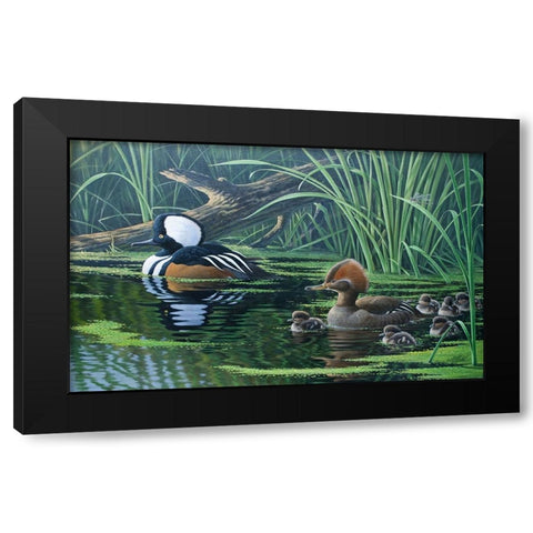 Merganser Black Modern Wood Framed Art Print with Double Matting by Goebel, Wilhelm