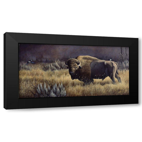 Bison And Magpies Black Modern Wood Framed Art Print by Goebel, Wilhelm