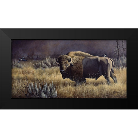 Bison And Magpies Black Modern Wood Framed Art Print by Goebel, Wilhelm