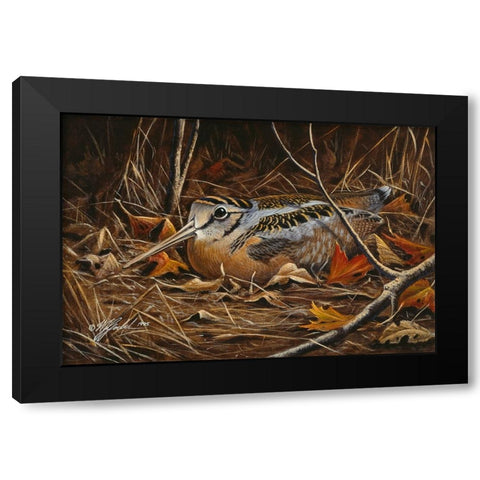 Woodcock In Hiding Black Modern Wood Framed Art Print with Double Matting by Goebel, Wilhelm