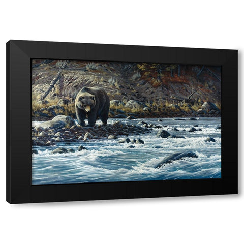 Along The Yellowstone - Grizzly Black Modern Wood Framed Art Print by Goebel, Wilhelm