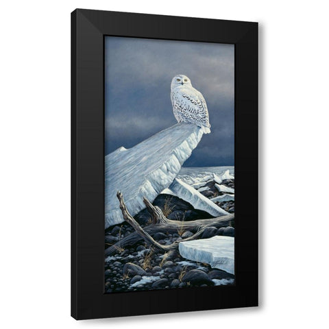 Lakeshore Ice Black Modern Wood Framed Art Print with Double Matting by Goebel, Wilhelm