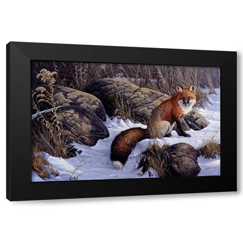 Mid Winter Pause - Red Fox Black Modern Wood Framed Art Print with Double Matting by Goebel, Wilhelm