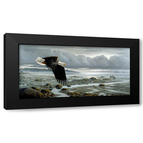Lowtide - Bald Eagle Black Modern Wood Framed Art Print by Goebel, Wilhelm