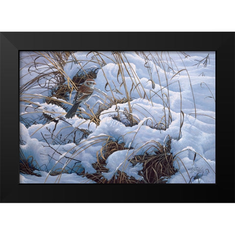 Snow Glow Field Sparrows Black Modern Wood Framed Art Print by Goebel, Wilhelm