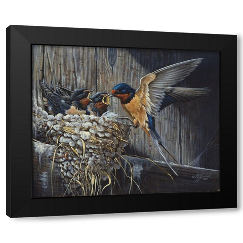 Country Living  - Barn Swallows Black Modern Wood Framed Art Print with Double Matting by Goebel, Wilhelm