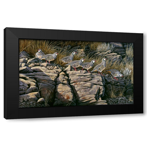 Rimrock Covey - Chukars Black Modern Wood Framed Art Print with Double Matting by Goebel, Wilhelm