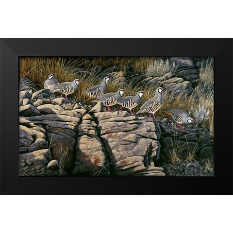 Rimrock Covey - Chukars Black Modern Wood Framed Art Print by Goebel, Wilhelm