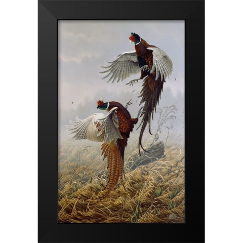 Ringneck Rivalry Black Modern Wood Framed Art Print by Goebel, Wilhelm