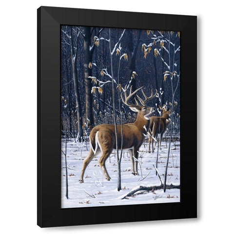 Buck In His Prime Black Modern Wood Framed Art Print by Goebel, Wilhelm