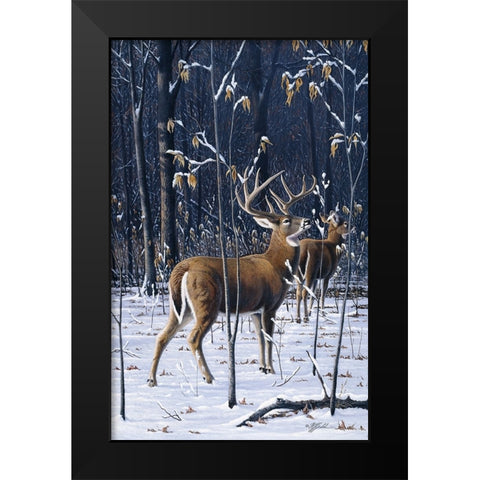 Buck In His Prime Black Modern Wood Framed Art Print by Goebel, Wilhelm