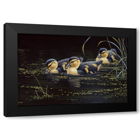 Mallard Ducklings Black Modern Wood Framed Art Print by Goebel, Wilhelm