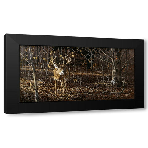 Sneaking Through - Whitetail Black Modern Wood Framed Art Print with Double Matting by Goebel, Wilhelm