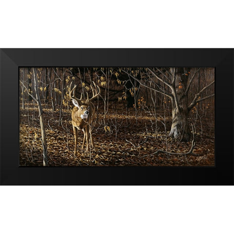Sneaking Through - Whitetail Black Modern Wood Framed Art Print by Goebel, Wilhelm