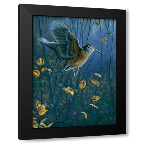 Woodcock On The Wing Black Modern Wood Framed Art Print by Goebel, Wilhelm