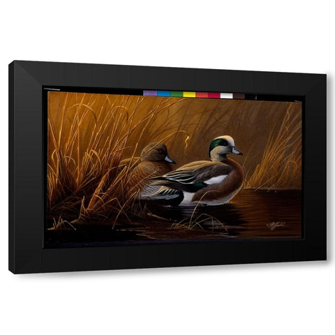 Widgeon In The Grass Black Modern Wood Framed Art Print by Goebel, Wilhelm