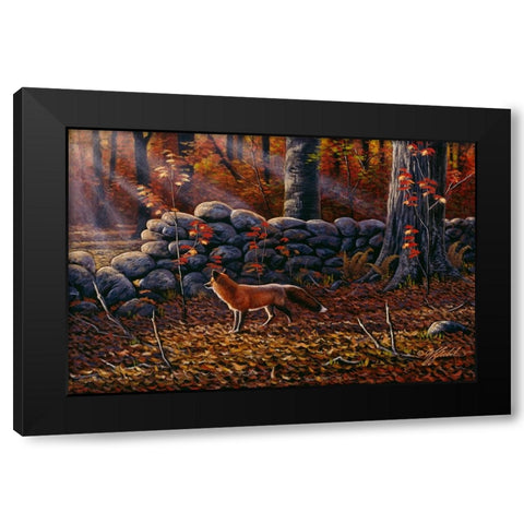 Autumn Reds - Red Fox Black Modern Wood Framed Art Print with Double Matting by Goebel, Wilhelm