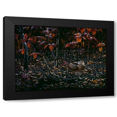 The Woodcocks World Black Modern Wood Framed Art Print by Goebel, Wilhelm