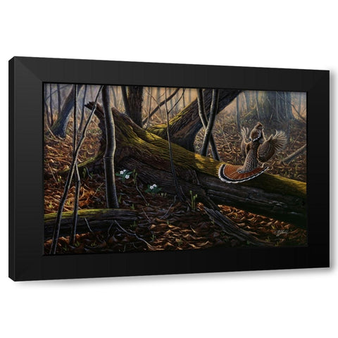 Thunder In The Woods Black Modern Wood Framed Art Print with Double Matting by Goebel, Wilhelm