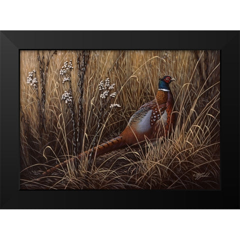 Pheasant In The Grass 2 Black Modern Wood Framed Art Print by Goebel, Wilhelm