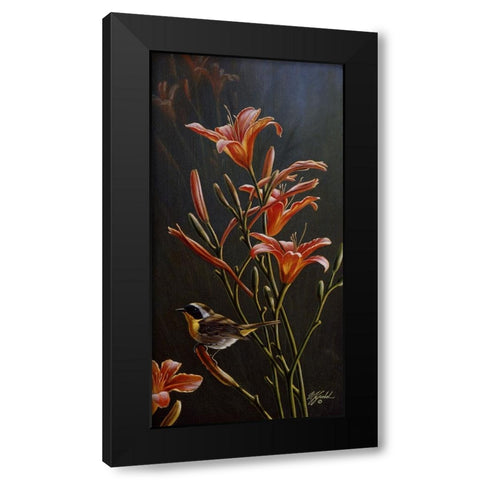 Yellowthroat And Daylilies Black Modern Wood Framed Art Print with Double Matting by Goebel, Wilhelm