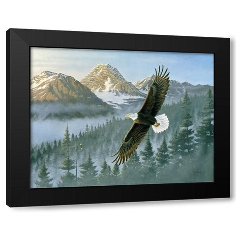 Soaring Eagle Black Modern Wood Framed Art Print with Double Matting by Goebel, Wilhelm