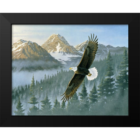 Soaring Eagle Black Modern Wood Framed Art Print by Goebel, Wilhelm