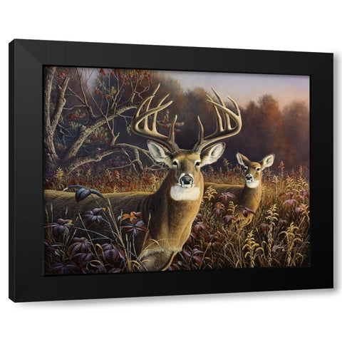 Deer Black Modern Wood Framed Art Print with Double Matting by Goebel, Wilhelm