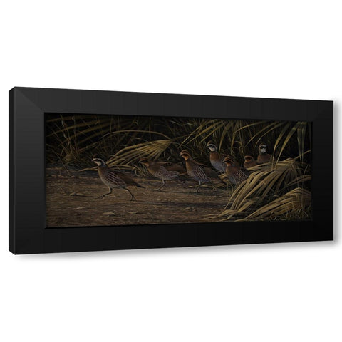 Breaking Cover - Bobwhites Black Modern Wood Framed Art Print with Double Matting by Goebel, Wilhelm